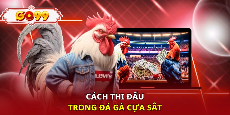 Cách thi đấu trong đá gà cựa sắt 