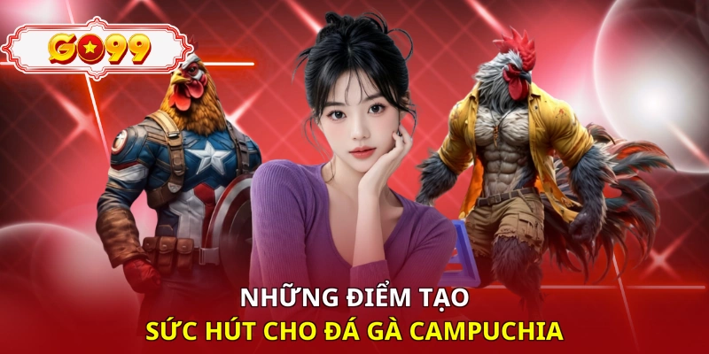 Những điểm tạo sức hút cho đá gà Campuchia 